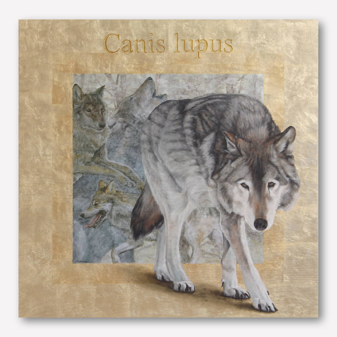 canislupusx