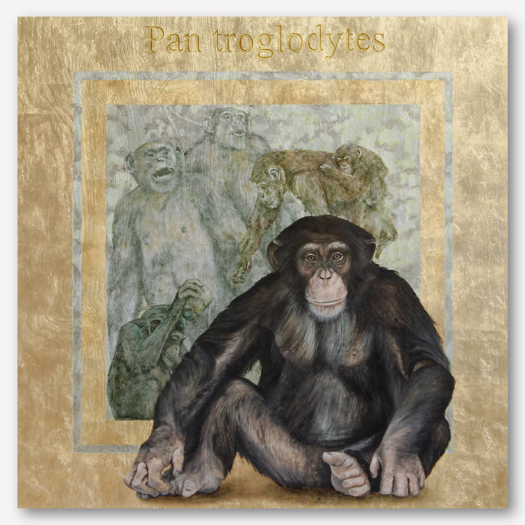 pantroglodytesx